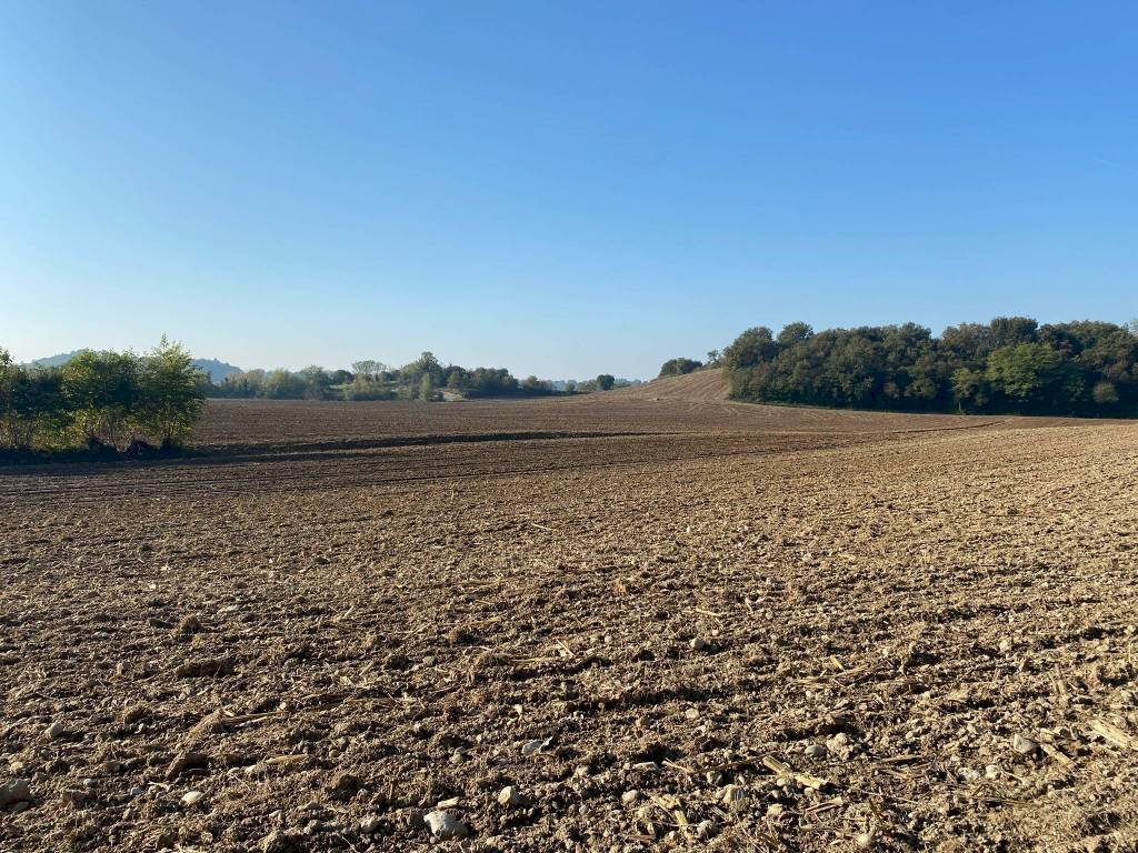 Terreno - Terreno agricolo via dei Partigiani, 5/a, Valeggio sul Mincio - foto 2