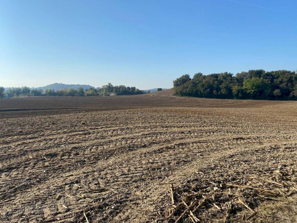 Terreno - Terreno agricolo via dei Partigiani, 5/a, Valeggio sul Mincio - foto 3