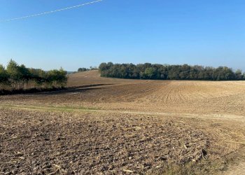 Terreno - Terreno agricolo via dei Partigiani, 5/a, Valeggio sul Mincio - foto 1