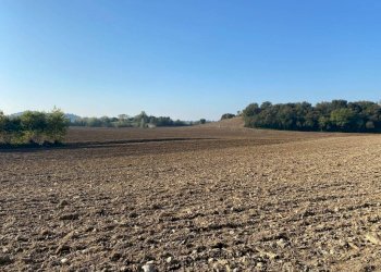 Terreno - Terreno agricolo via dei Partigiani, 5/a, Valeggio sul Mincio - foto 2