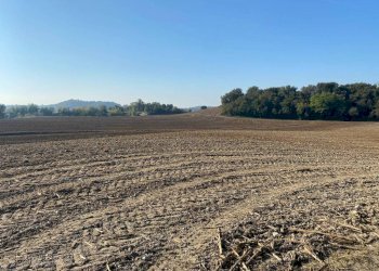 Terreno - Terreno agricolo via dei Partigiani, 5/a, Valeggio sul Mincio - foto 3