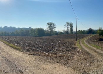 Terreno - Terreno agricolo via dei Partigiani, 5/a, Valeggio sul Mincio - foto 4