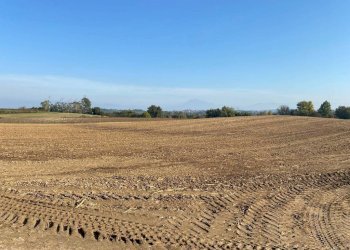 Terreno - Terreno agricolo via dei Partigiani, 5/a, Valeggio sul Mincio - foto 5