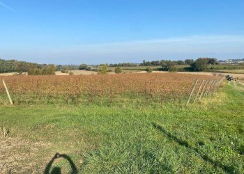 Terreno - Terreno agricolo via dei Partigiani, 5/a, Valeggio sul Mincio - foto 8