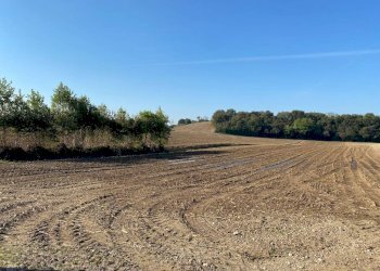 Terreno - Terreno agricolo via dei Partigiani, 5/a, Valeggio sul Mincio - foto 11