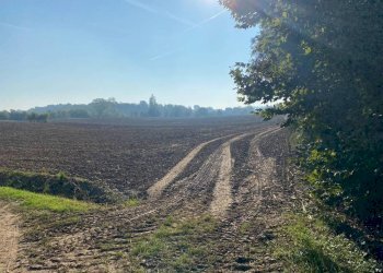 Terreno - Terreno agricolo via dei Partigiani, 5/a, Valeggio sul Mincio - foto 12