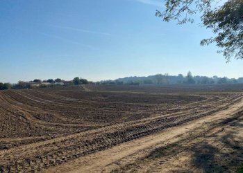Terreno - Terreno agricolo via dei Partigiani, 5/a, Valeggio sul Mincio - foto 13