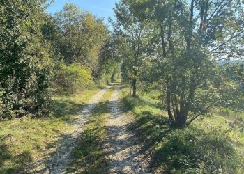 Terreno - Terreno agricolo via dei Partigiani, 5/a, Valeggio sul Mincio - foto 14