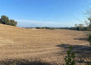 Terreno - Terreno agricolo via dei Partigiani, 5/a, Valeggio sul Mincio - foto 15