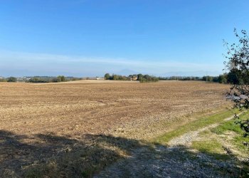 Terreno - Terreno agricolo via dei Partigiani, 5/a, Valeggio sul Mincio - foto 16