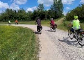 Zona - Terreno agricolo via dei Partigiani, 5/a, Valeggio sul Mincio - foto 19
