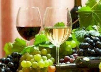 Altro - Terreno agricolo via dei Partigiani, 5/a, Valeggio sul Mincio - foto 20