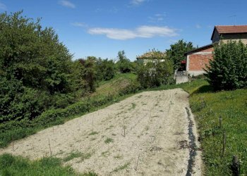 Terreno - Rustico Frazione Bruciati, Calamandrana - foto 26
