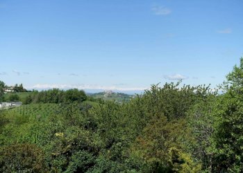 Vista - Rustico Frazione Bruciati, Calamandrana - foto 16