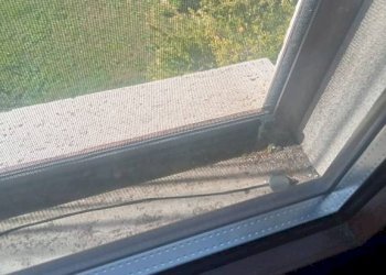 Dettagli - Quadrilocale via Verbano, 21, Casorate Sempione - foto 18