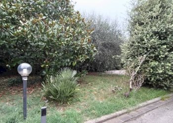 Giardino - Villa via Raffaello Caverni, Montelupo Fiorentino - foto 2