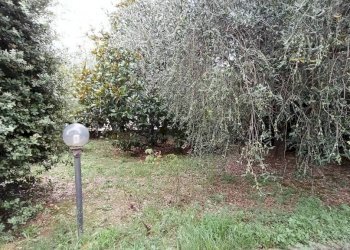 Giardino - Villa via Raffaello Caverni, Montelupo Fiorentino - foto 9