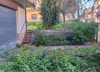 Giardino - Villa via Ettore Riola, San Giorgio del Sannio - foto 15