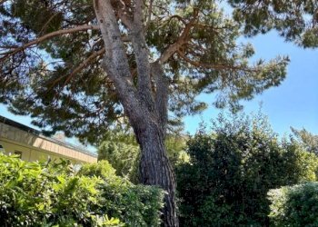 Giardino - Loft via del Golf, Arenzano - foto 12