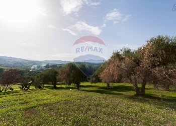 Vista delle montagne - Villa contrada cozzo bianco
 
6, Santa Flavia - foto 50