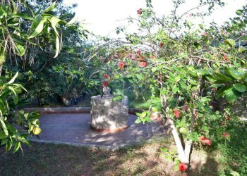 Giardino - Villa contrada cozzo bianco
 
6, Santa Flavia - foto 51