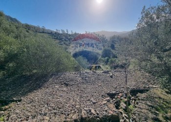 Vista delle montagne - Villa STRADA STATALE 643 SP 24
 
SNC, Scillato - foto 4