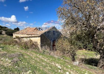 Casa all\'aperto - Terreno agricolo CONTRADA COMUNI
SNC, Castellammare del Golfo - foto 4