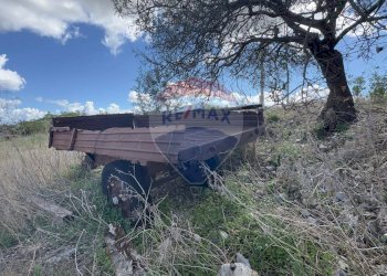 Non correlato - Terreno agricolo CONTRADA COMUNI
SNC, Castellammare del Golfo - foto 12