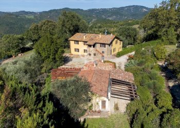 Foto 9 - Rustic Località Belvedere, Gubbio - photo 9