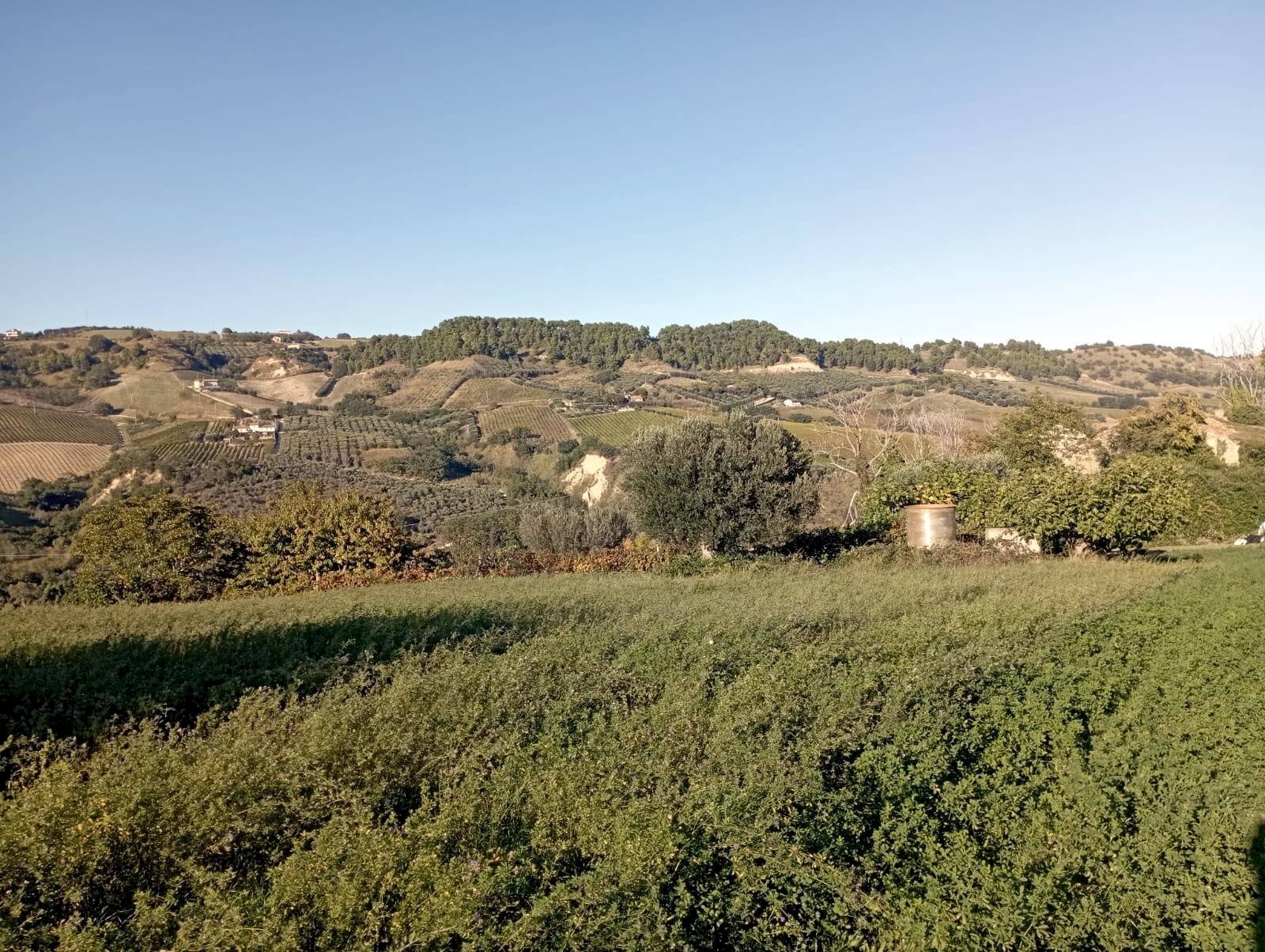 Foto 2 - Agricultural land Contrada Colle Sant Angelo, Monteprandone - photo 2