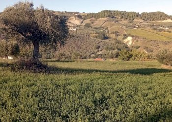 Foto 1 - Terreno agricolo Contrada Colle Sant Angelo, Monteprandone - foto 1