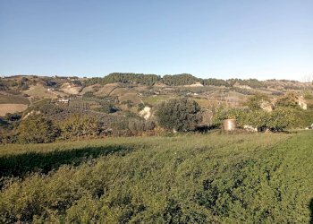 Foto 2 - Terreno agricolo Contrada Colle Sant Angelo, Monteprandone - foto 2