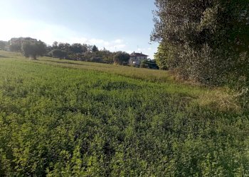 Foto 8 - Terreno agricolo Contrada Colle Sant Angelo, Monteprandone - foto 8