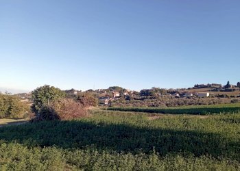 Foto 10 - Terreno agricolo Contrada Colle Sant Angelo, Monteprandone - foto 10