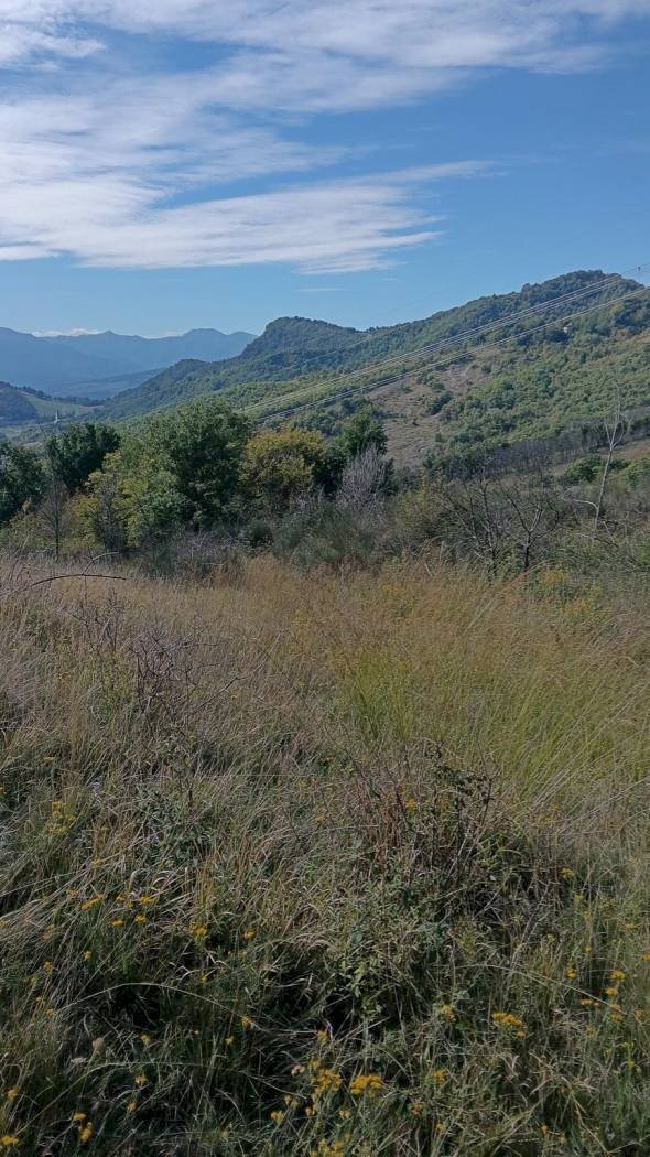 Villa Località Belvedere in Riola, Vergato - foto 2