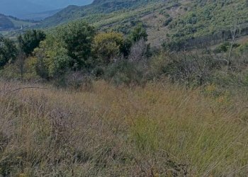 Villa Località Belvedere in Riola, Vergato - foto 2