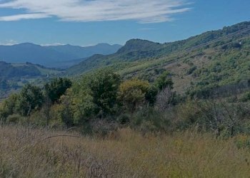 Villa Località Belvedere in Riola, Vergato - foto 3