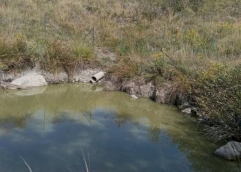 Villa Località Belvedere in Riola, Vergato - foto 4