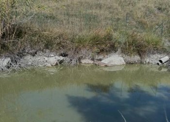 Villa Località Belvedere in Riola, Vergato - foto 5