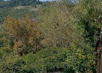 Villa Località Belvedere in Riola, Vergato - foto 7