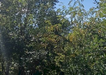 Villa Località Belvedere in Riola, Vergato - foto 19