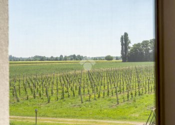 Casa semi indipendente Via Chiesa di Cortile, Carpi - foto 16