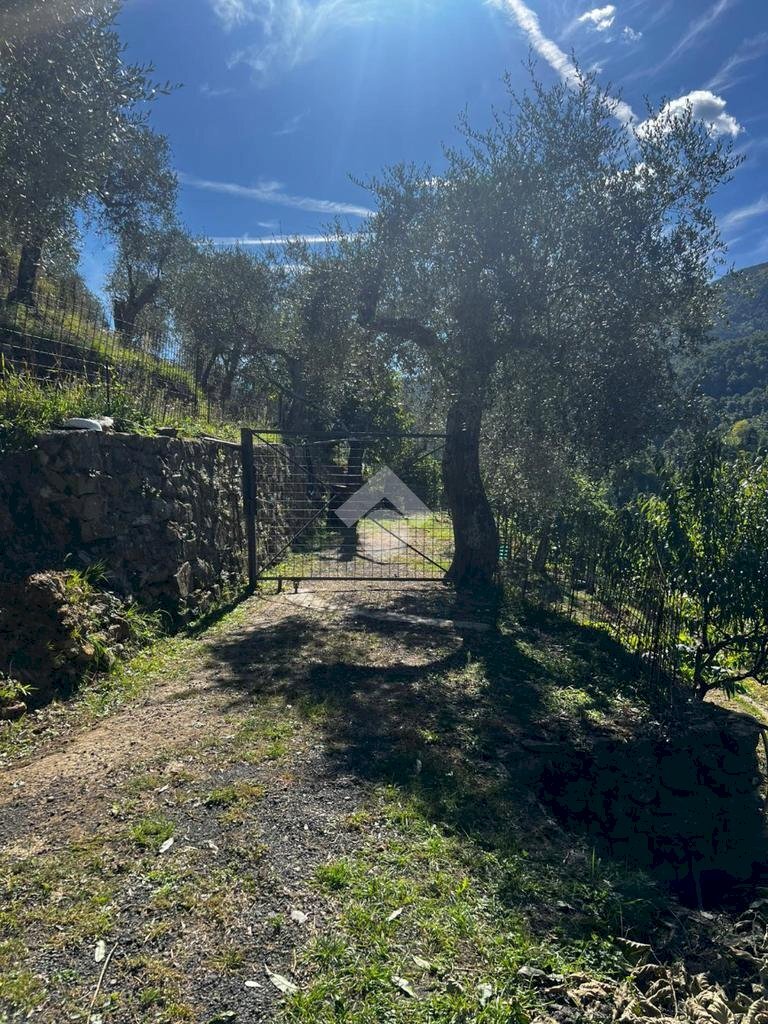 Terreno agricolo Stada Isola, Ceriana - foto 1