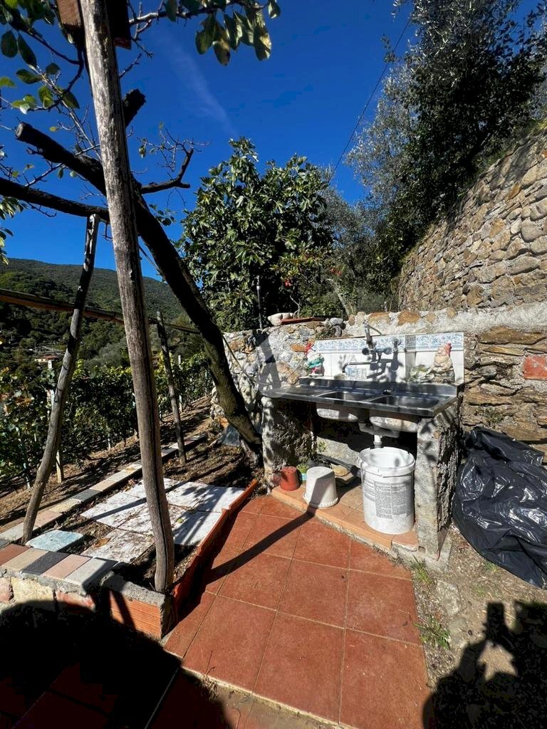 Terreno agricolo Stada Isola, Ceriana - foto 2