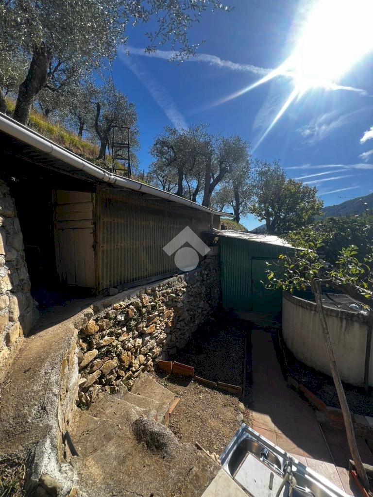 Terreno agricolo Stada Isola, Ceriana - foto 3