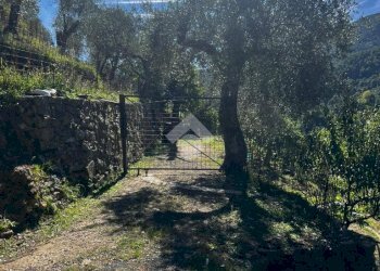 Terreno agricolo Stada Isola, Ceriana - foto 1