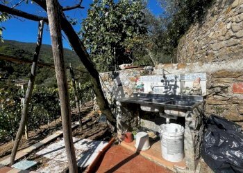 Terreno agricolo Stada Isola, Ceriana - foto 2