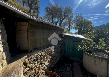 Terreno agricolo Stada Isola, Ceriana - foto 3