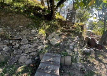 Terreno agricolo Stada Isola, Ceriana - foto 6