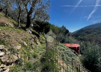 Terreno agricolo Stada Isola, Ceriana - foto 8